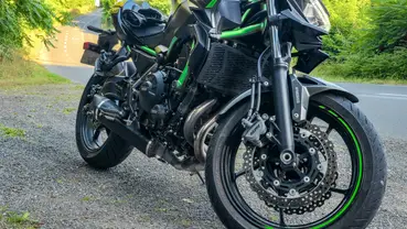 Forêt - lumière du matin filtrant entre les arbres