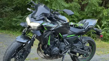 Forêt - détails du sous-bois éclairé